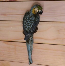 تصویر دیوار کوب طوطی 