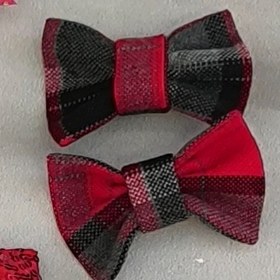 تصویر پاپیون دلبر(جفتی) 