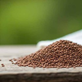 تصویر کنجد قهوه ای 