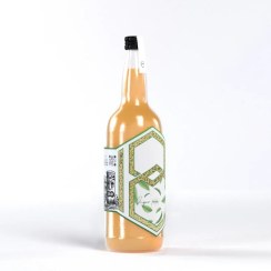 تصویر سیروپ بدون قند ملون-طالبی [رژیمی] بیتر Bitter 