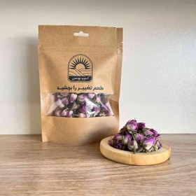 تصویر غنچه گل محمدی 