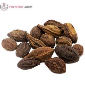 تصویر هلیله زرد 