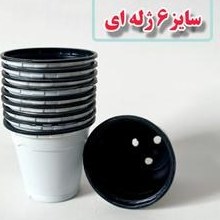 تصویر گلدان ژله ای سایز12 بسته 500عددی 