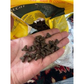 تصویر غذای خشک گربه جوسرا نیچرکت Josera NatureCat بسته بندی 2 کیلوگرم 