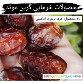 تصویر خرما بریم درجه 1 ارگانیک خرما گرین موند 