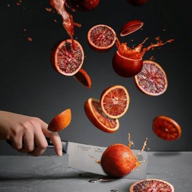 تصویر ساطور وینر مدل N-06 