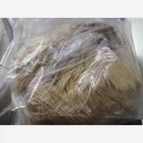 تصویر خلال دندان 1500 گرمی 