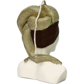 تصویر مدوسا 