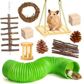 تصویر لوازم جانبی همستر NeoStyle 10pcs Hamster Chew Toysارسال 20 روز کاری 