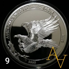 تصویر سکه ی یادبود ملکه الیزابت کد : 9 