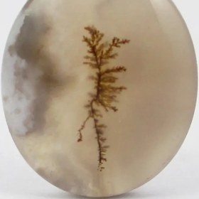 تصویر سنگ شجر کد 2380 