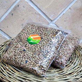 تصویر عدس درشت ایرانی 