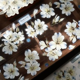 تصویر واشی Blue Beginning 