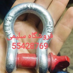 تصویر شگل ۲ تن 