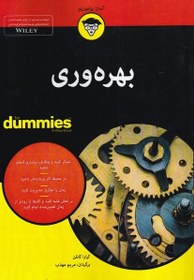 تصویر کتاب بهره وری Productivity for Dummies