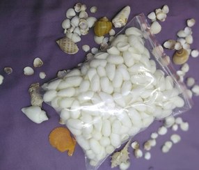 تصویر پیله کرم ابریشم 