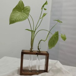 تصویر استند گل سایز متوسط 