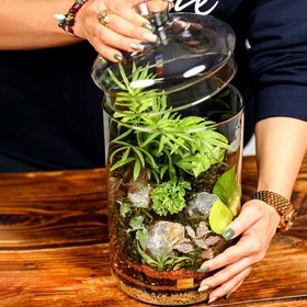 تصویر تراریوم مدل گلد vip 