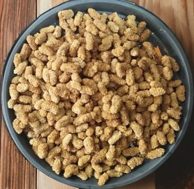 تصویر توت خشک ممتاز 300 گرمی محصول امسالی ۱۴۰۴