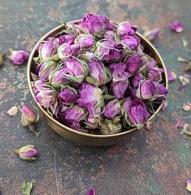 تصویر غنچه گل محمدی 