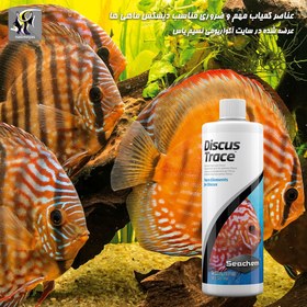 تصویر محلول 500 میلی دیسکس سیچم Seachem discus-trace Seachem discus-trace