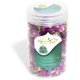 تصویر غنچه گل محمدی 