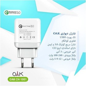 تصویر شارژر اوآک مدل CH-1001 به همراه کابل تبدیل microUSB 