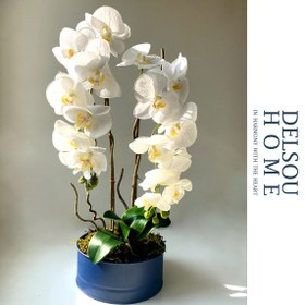 تصویر گلدان ارکیده 2 شاخه مودرا ارکید 