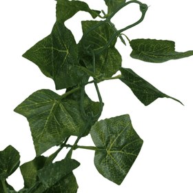 تصویر ریسه برگ 2.5 متری 