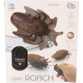 تصویر سوسک کنترلی غول پیکر Giant control cockroach