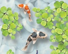 تصویر کفپوش سه بعدی طرح ماهی های koi 