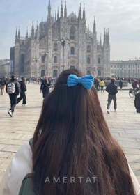 تصویر پاپیون خامه دوزی 