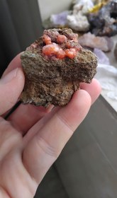 تصویر آنالسیم 