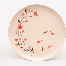 تصویر بشقاب غذا خوری 25 