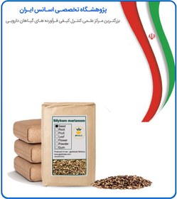 تصویر بذر خار مریم خشک فله 