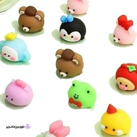 تصویر پک ۱۲ عددی پاک کن حیوانات کوکی 