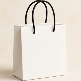 تصویر شاپینگ بگ 23*23 -(24 تایی) 