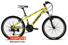 تصویر دوچرخه اینتنس سایز 24 مدل CHAMPION 4D 
