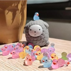 تصویر موجودات شب تاب 