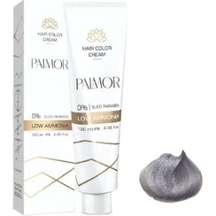 تصویر پالمور 004 