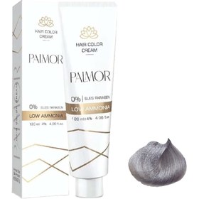 تصویر پالمور 004 