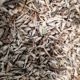 تصویر گل سنجد 75 گرم 