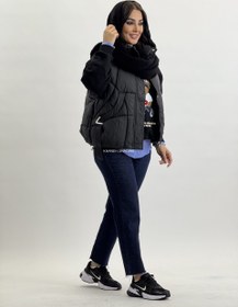 تصویر پافر سگکدار ۸۶۰۳ 