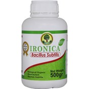 تصویر باسیلوس سوبتیلیس آیرونیکا Bacillus subtilis IRONICA