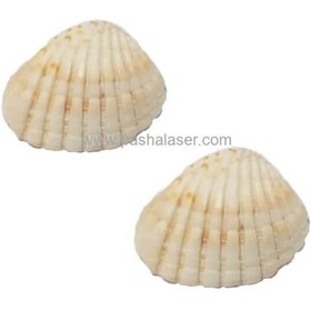 تصویر صدف کد 2304 