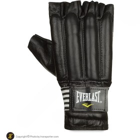 تصویر دستکش کونگ فو چرمی Everlast BYT 