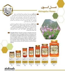 تصویر عسل گون کوهدشت - 600 گرم ( 6 عدد) 