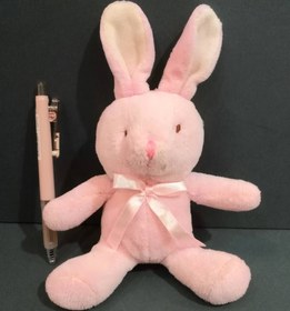 تصویر خرگوش جغجغه 