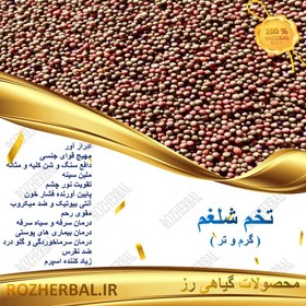 تصویر تخم شلغم - یک کیلوگرم 