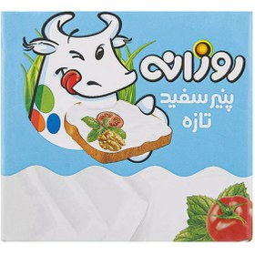 تصویر پنیر سفید تازه روزانه ۵۱۵ گرم کم چرب 